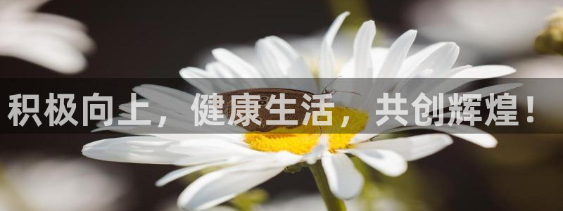 尊龙官网下载招商电话地址查询：积极向上，健康生活，共