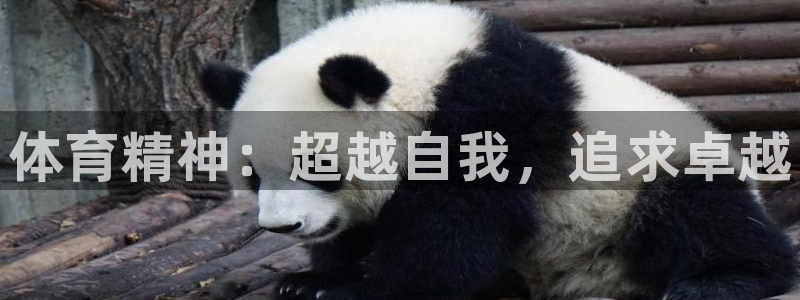 注册尊龙官方正版app：体育精神：超越自我，追求卓越