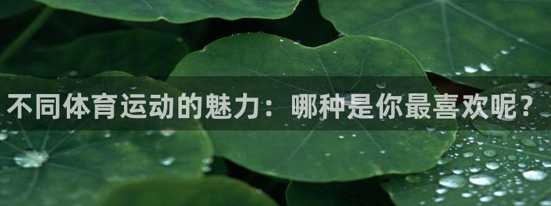 尊龙官方正版app神州：不同体育运动的魅力：哪种是你