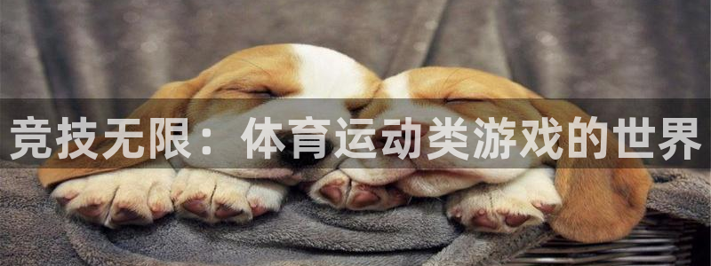 尊龙官方正版app代理：竞技无限：体育运动类游戏的世