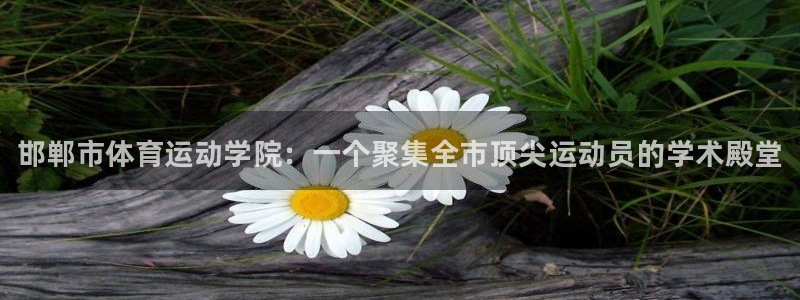 尊龙官方正版app五金厂：邯郸市体育运动学院：一个聚