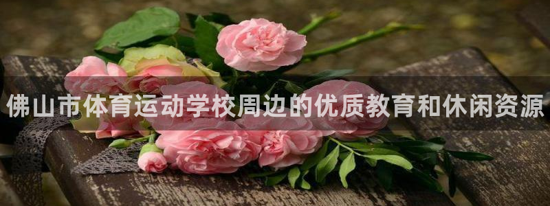 德国尊龙官方正版app集团：佛山市体育运动学校周边的
