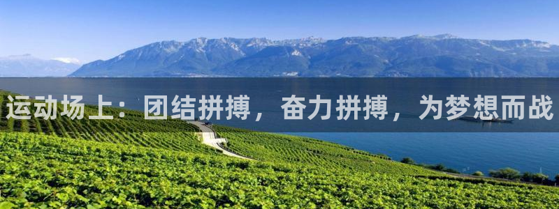 尊龙官方正版app娱乐是那个系列的台子：运动场上：团