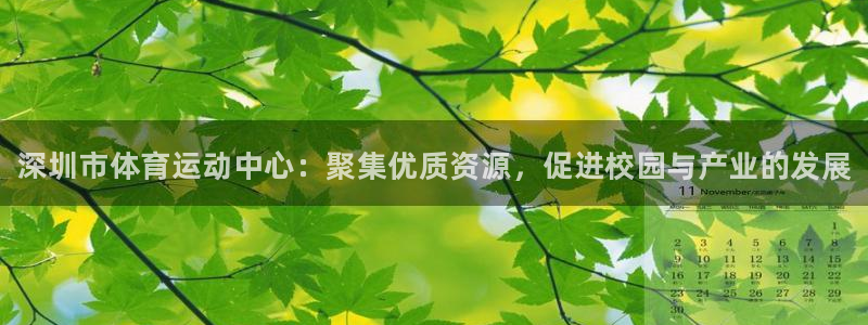 尊龙官方正版app娱乐是那个系列的台子：深圳市体育运动中心：