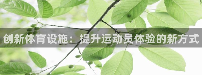 尊龙官网下载招商电话是多少啊：创新体育设施：提升运动员体验的