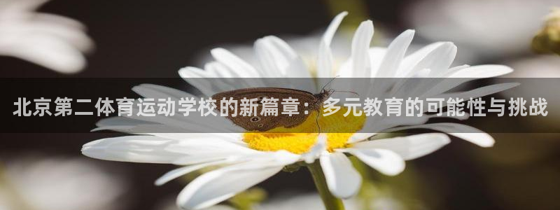 尊龙官方正版app神州：北京第二体育运动学校的新篇章：多元教