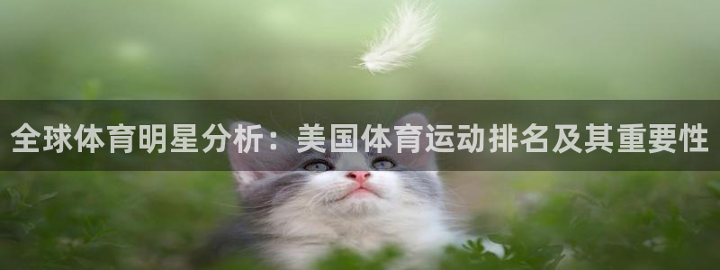 尊龙官方正版app娱乐40996：全球体育明星分析：