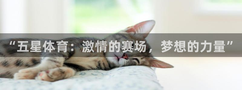 海南尊龙官网下载发展怎么样：“五星体育：激情的赛场，梦想的力