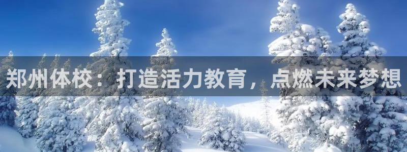 尊龙官方正版app官方：郑州体校：打造活力教育，点燃未来梦想