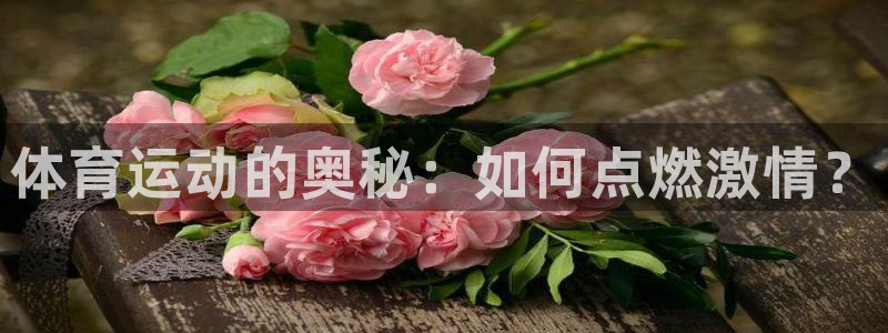 尊龙官网下载平台是正规平台吗：体育运动的奥秘：如何点燃激情？