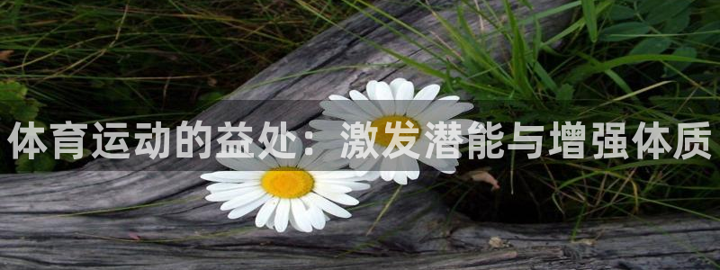尊龙官方正版app开户：体育运动的益处：激发潜能与增强体质