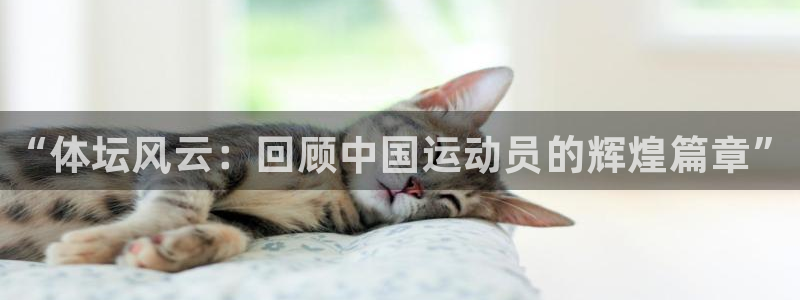 尊龙官网下载平台是正规平台吗安全吗