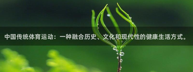 尊龙官网下载开户：中国传统体育运动：一种融合历史、文
