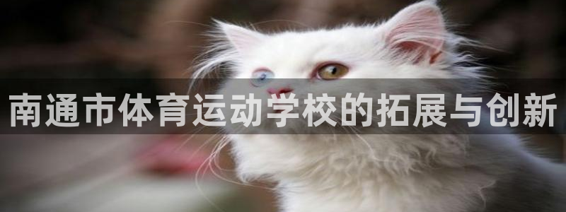 尊龙官方正版app集团E.ON