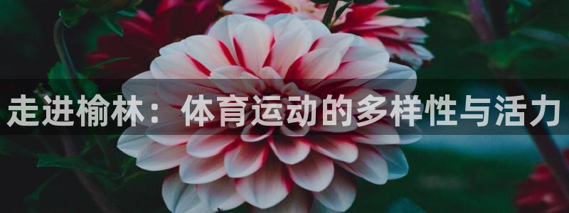 尊龙官网下载平台注册要钱吗：走进榆林：体育运动的多样