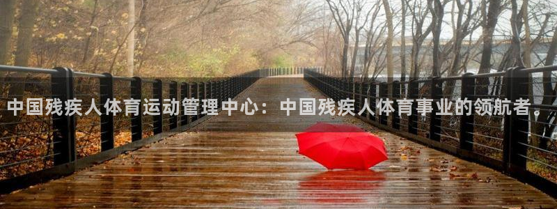 尊龙官方正版app集团官网网址：中国残疾人体育运动管