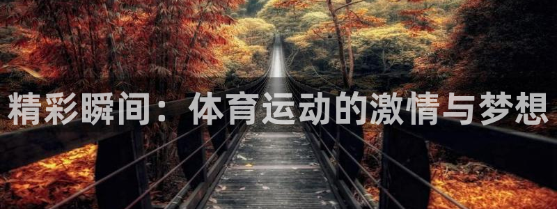 尊龙官网下载平台注册流程图：精彩瞬间：体育运动的激情