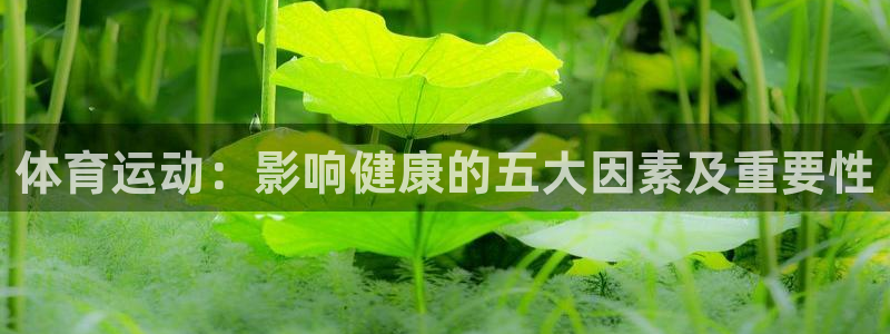 尊龙官网下载官方客服电话：体育运动：影响健康的五大因