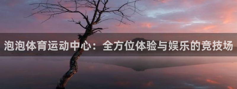 尊龙官网下载招商电话号码查询：泡泡体育运动中心：全方