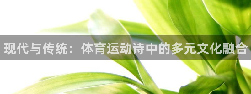 海南尊龙官网下载发展怎么样：现代与传统：体育运动诗中的多元文
