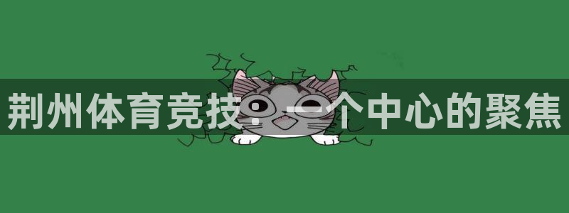 尊龙官网下载平台注册流程视频：荆州体育竞技：一个中心