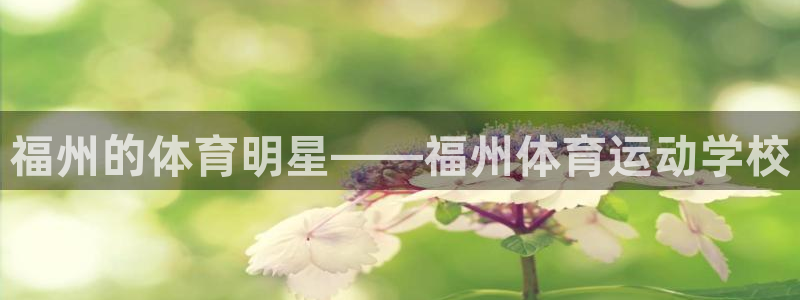 德国尊龙官方正版app集团：福州的体育明星——福州体