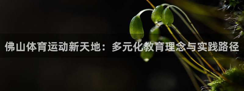 尊龙官网下载平台假的吗是真的吗：佛山体育运动新天地：多元化教