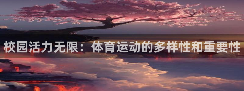 尊龙官网下载平台注册要钱吗：校园活力无限：体育运动的多样性和
