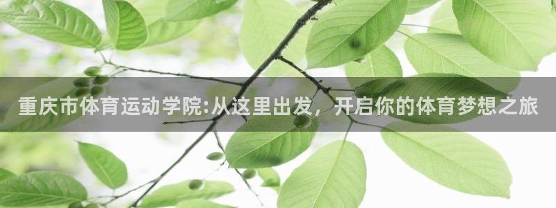 注册尊龙官方正版app：重庆市体育运动学院:从这里出发，开启