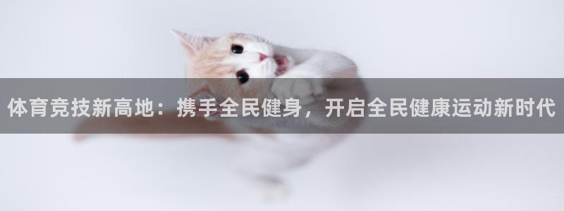 尊龙官网下载招商电话