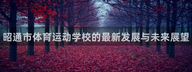 尊龙官网下载平台注册流程视频：昭通市体育运动学校的最