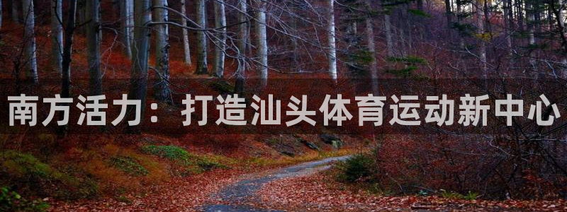 尊龙官网下载平台注册要钱吗是真的吗：南方活力：打造汕头体育运