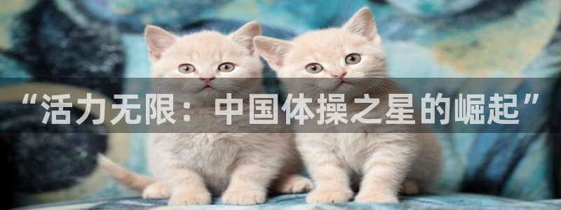 尊龙官网下载平台：“活力无限：中国体操之星的崛起”