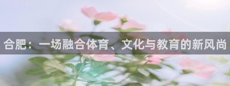 尊龙官方正版app神州：合肥：一场融合体育、文化与教