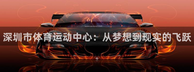 尊龙官方集团官网：深圳市体育运动中心：从梦想到现实的飞跃