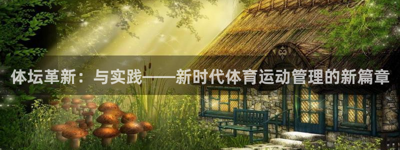 尊龙官网下载软件：体坛革新：与实践——新时代体育运动管理的新