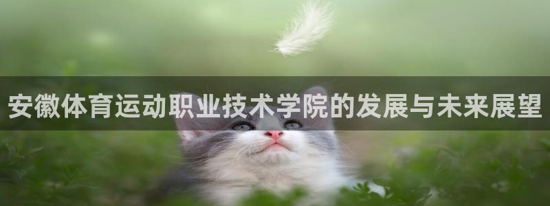 d88尊龙实在ag发财网