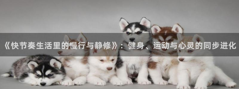 尊龙凯时vr：《快节奏生活里的慢行与