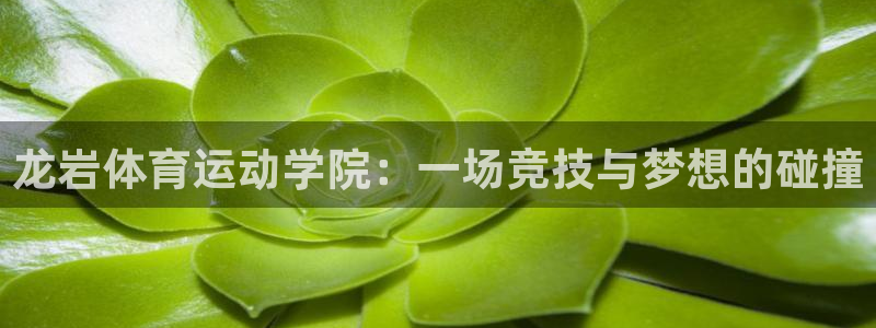 尊龙凯时一人生就是博登录：龙岩体育运