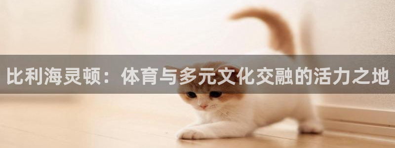 尊龙ag旗舰厅下载：比利海灵顿：体育