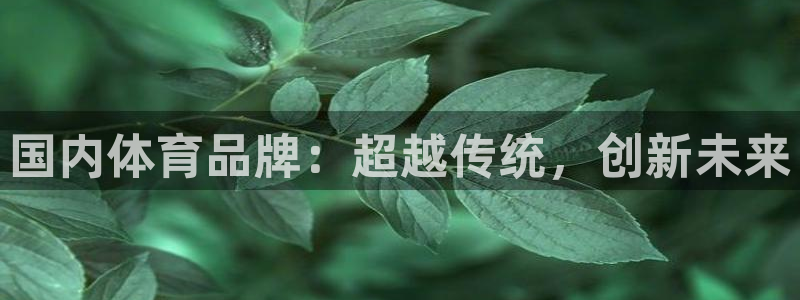  尊龙app注册：国内体育品牌：超越传统，创新未来