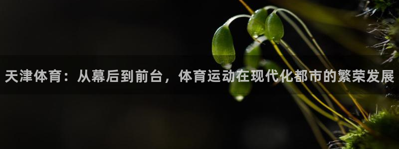 尊龙凯时骗局：天津体育：从幕后到前台
