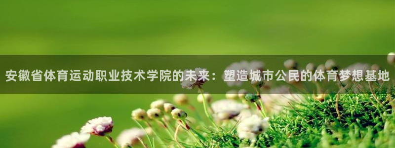 尊龙凯时人生：安徽省体育运动职业技术