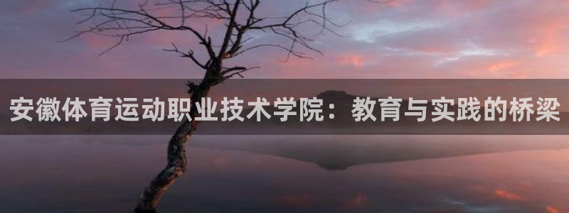 尊龙官方网站：安徽体育运动职业技术学院：教育与实践的桥梁