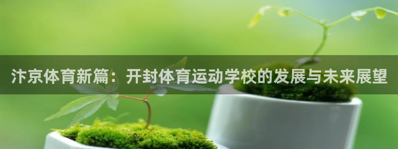  尊龙现金一下赢来就送38：汴京体育新篇：开封体育运动学校的发