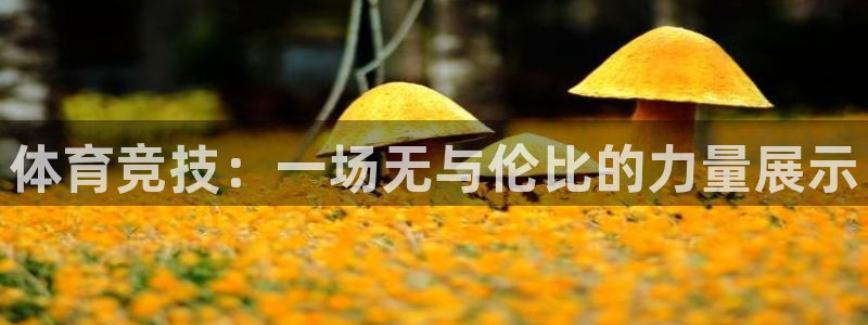 尊龙凯时取款24小时不到账：体育竞技：一场无与伦比的力量展示