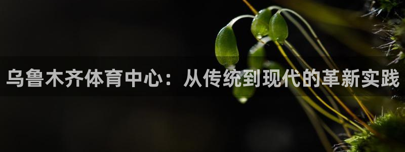 尊龙官方平台是正品吗安全吗：乌鲁木齐体育中心：从传统到现代的