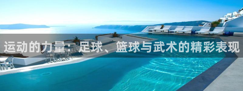 ag尊龙凯时人生就是博：运动的力量：足球、篮球与武术的精彩表