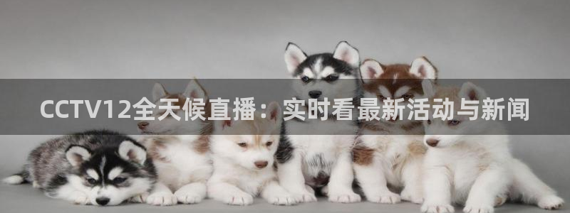 柠檬nba直播