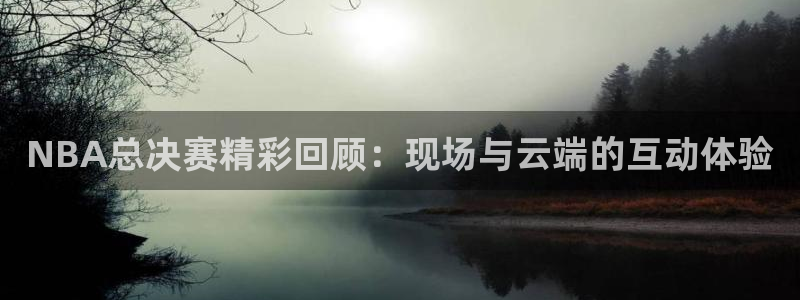 柠檬直播体育nba：NBA总决赛精彩回顾：现场与云端的互动体验